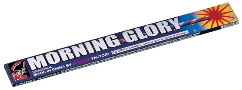 SHOGUN MORNING GLORY 6 pcs. per box